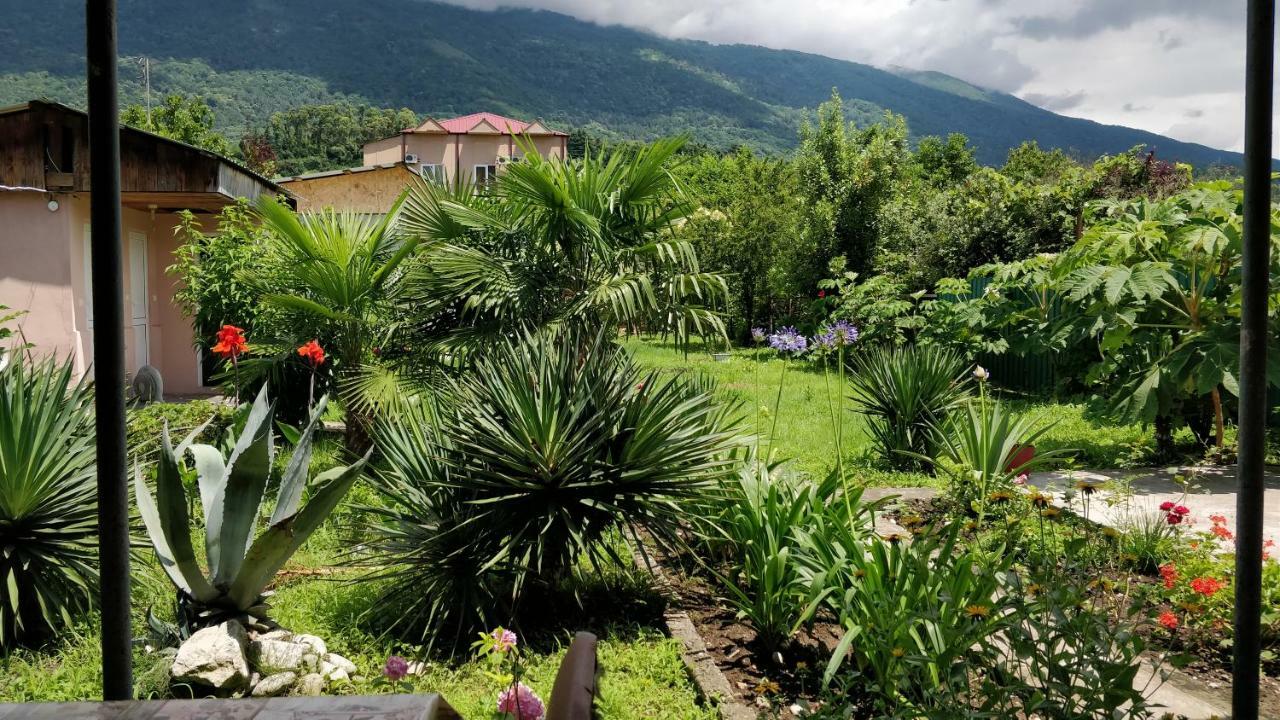 Tikhaya Gavan Guest House Gagra Luaran gambar