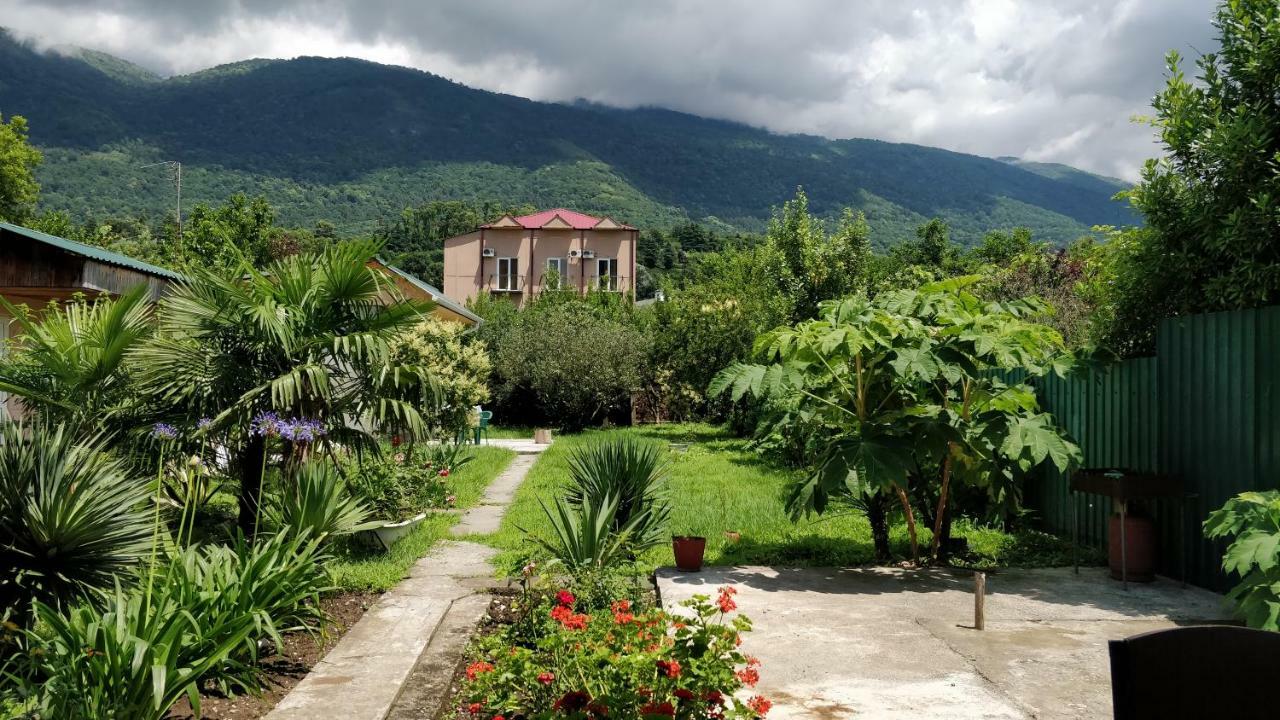 Tikhaya Gavan Guest House Gagra Luaran gambar