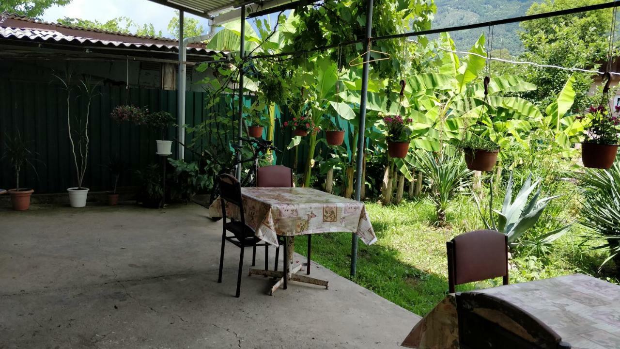 Tikhaya Gavan Guest House Gagra Luaran gambar